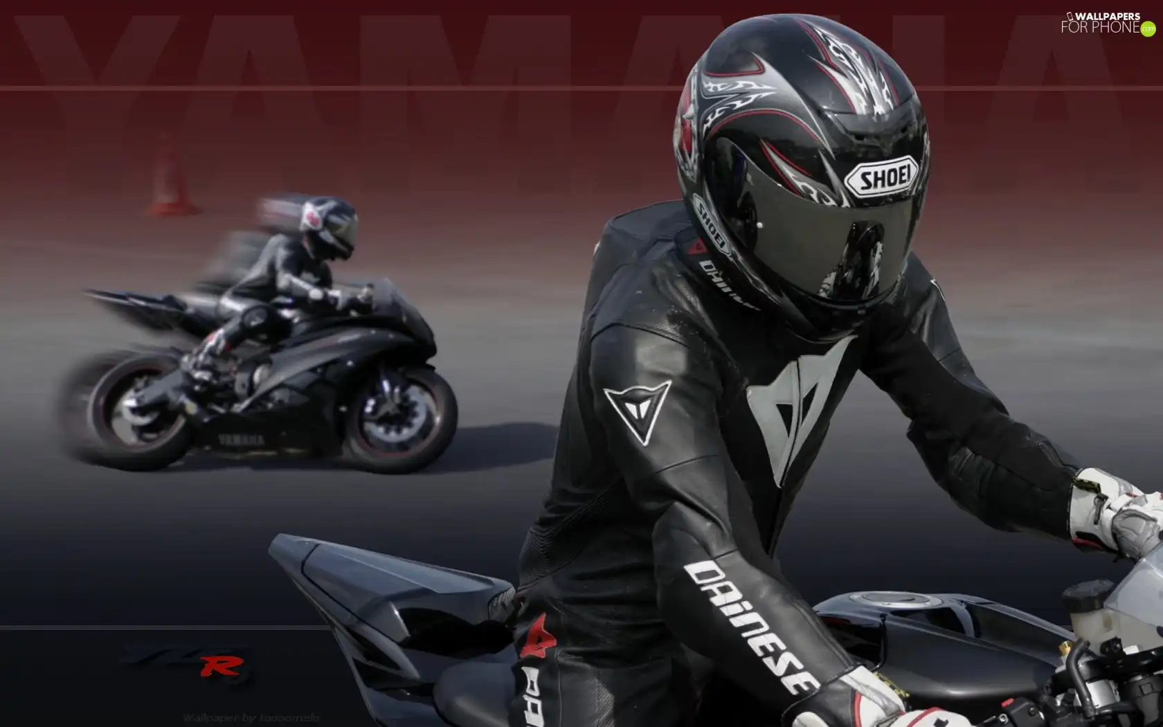 motor-bike, Yamaha YZF-R6, Motorcyclist