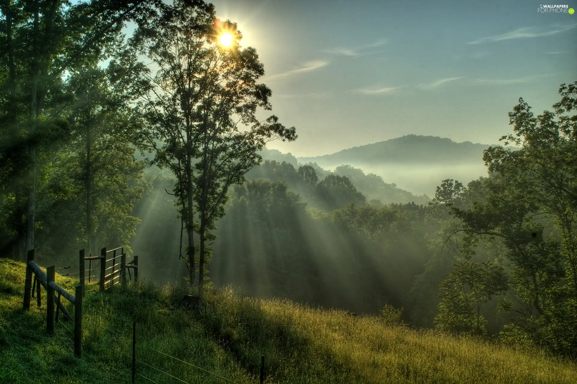 forest, light breaking through sky, fence, Mountains, Meadow