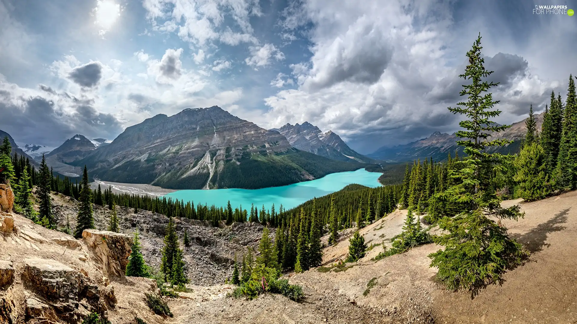 Spruces, Peyto, clouds, Banff National Park, trees, lake, Mountains, Canada, Province of Alberta, viewes