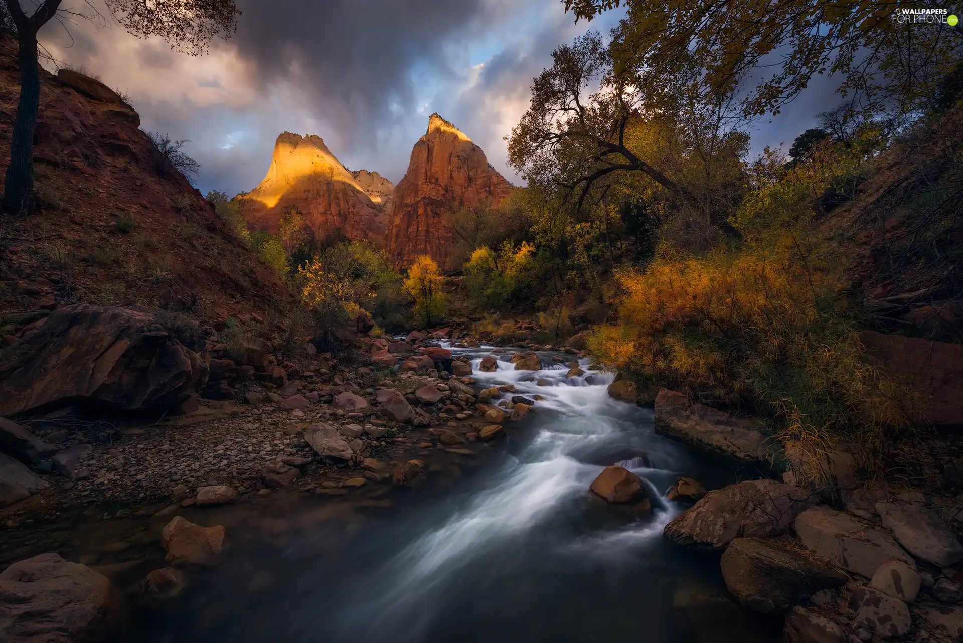 Zion National Park, The United States, rocks, Virgin River, Mountains, Utah State
