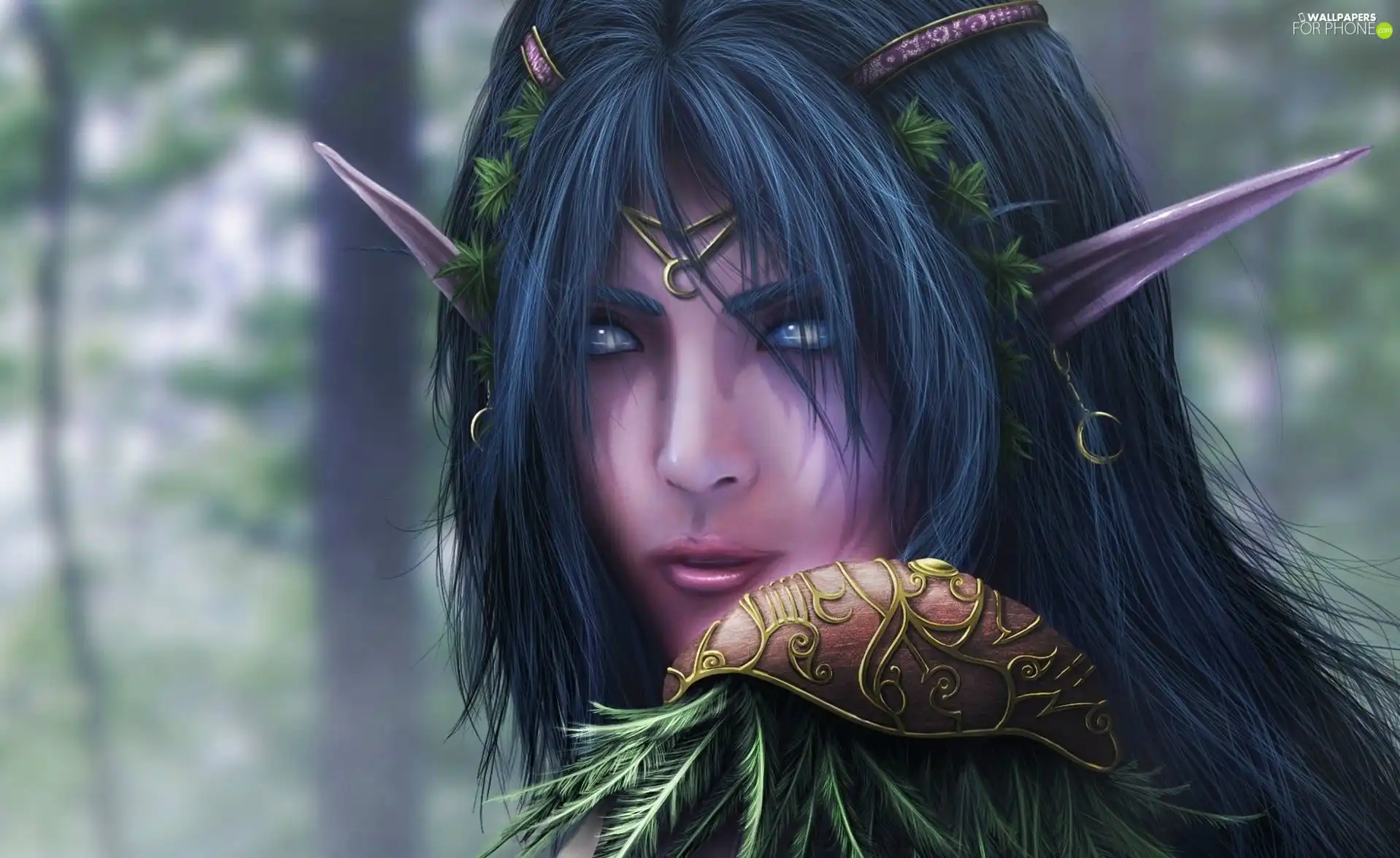World of Warcraft, night Elf