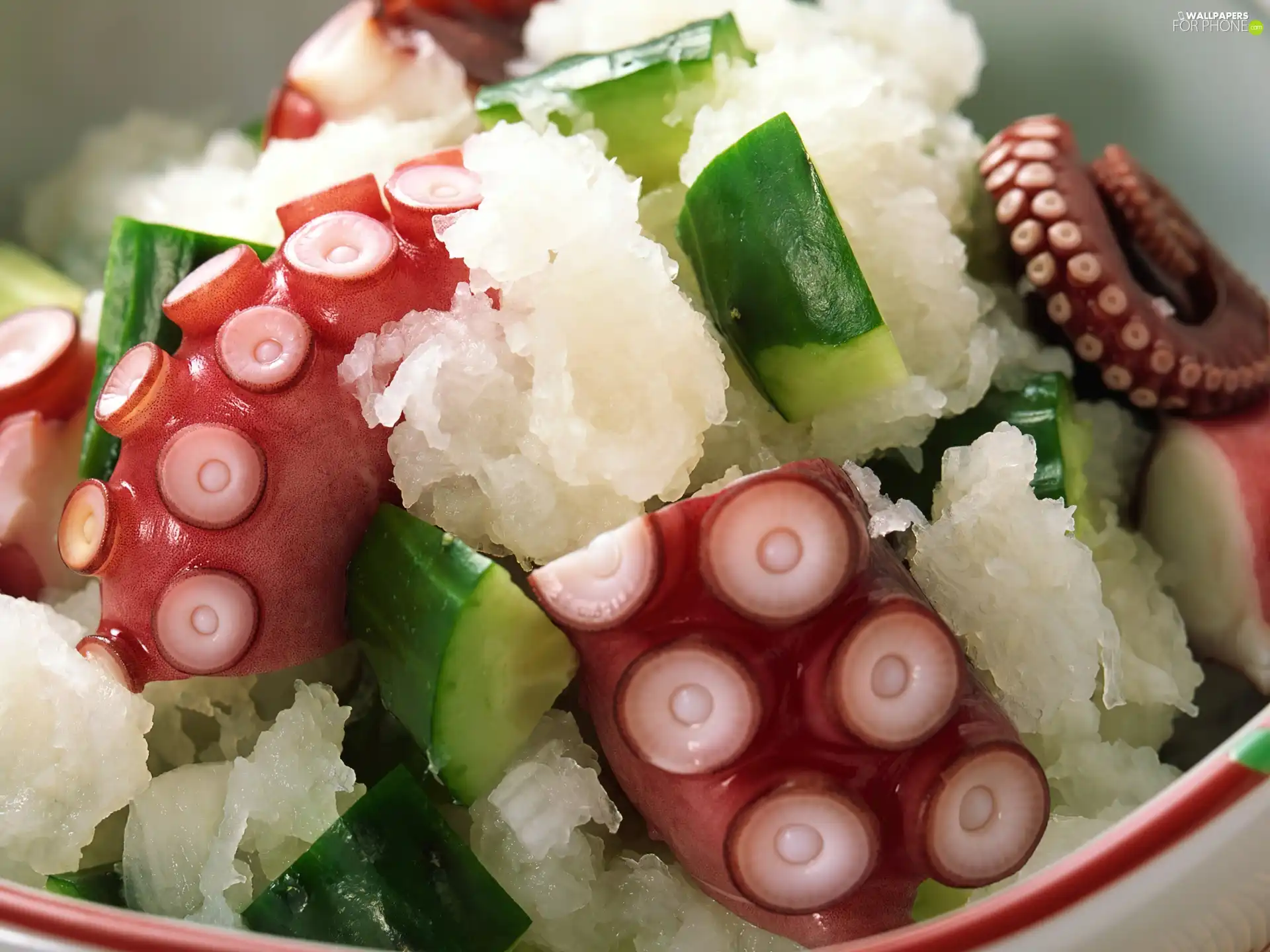 salad, Octopussy