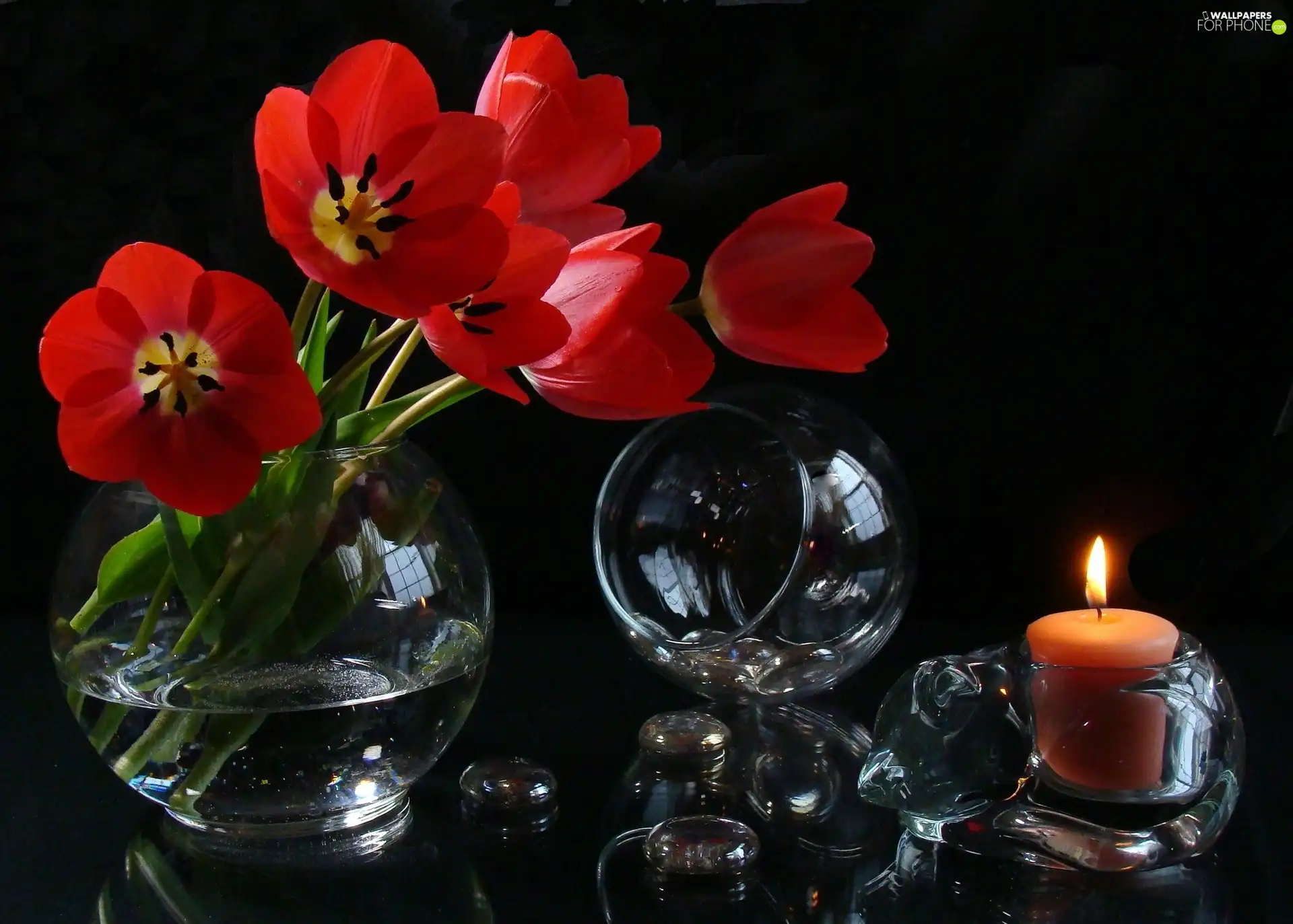 Tulips, decoration, Orb, candle, Glass, Red
