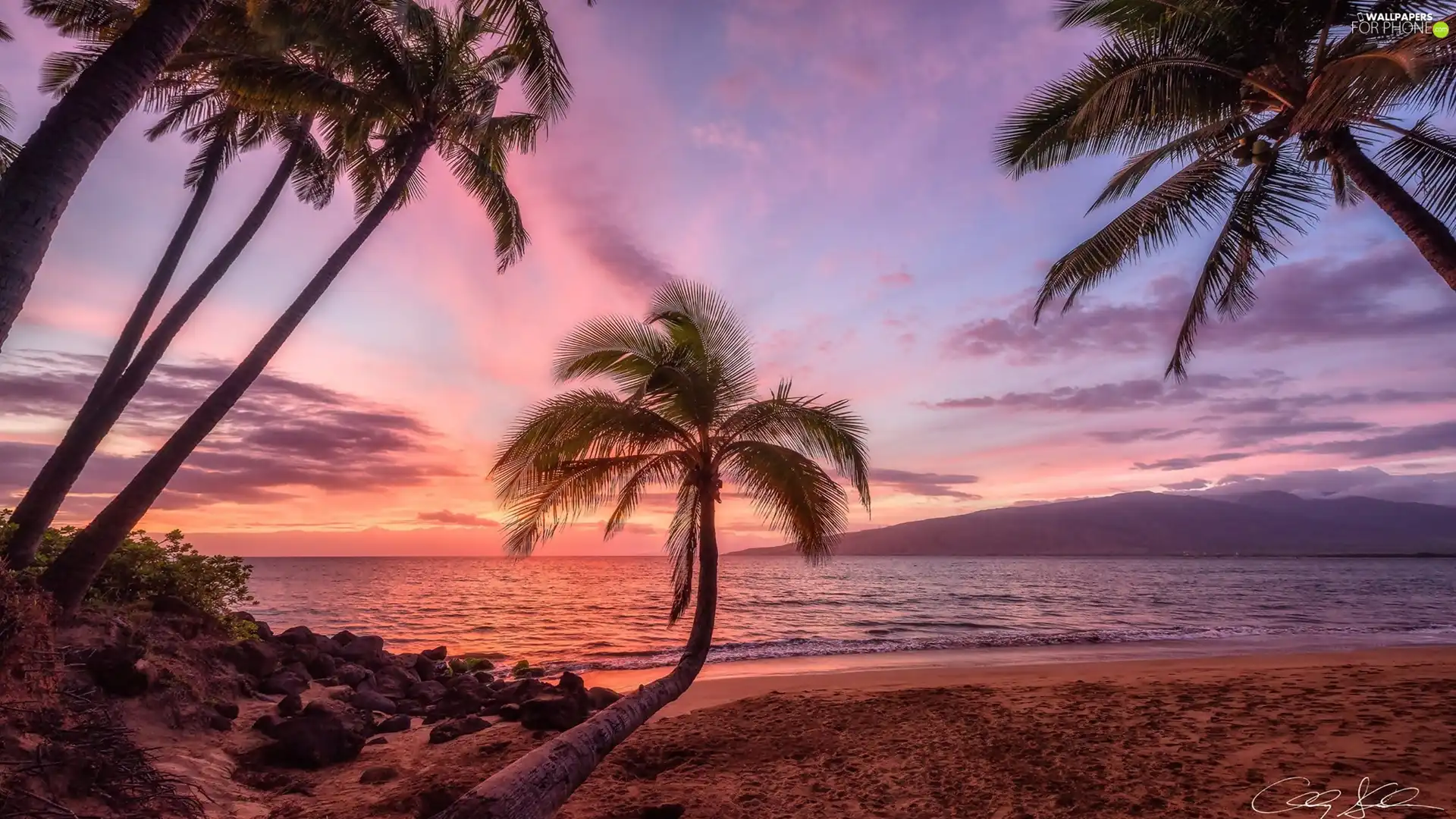 Aloha State Hawaje, Palms, Great Sunsets, sea