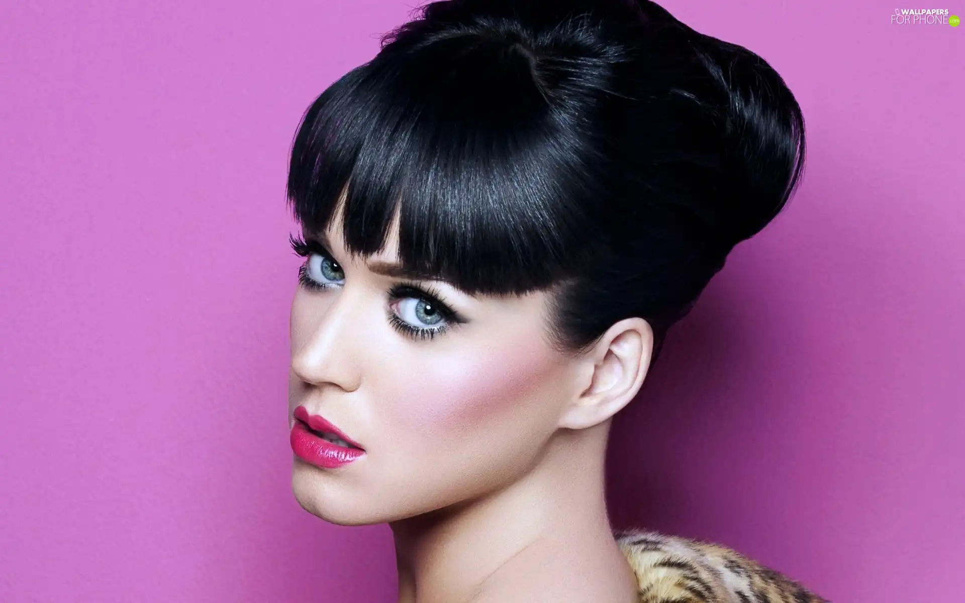 songster, Katy Perry