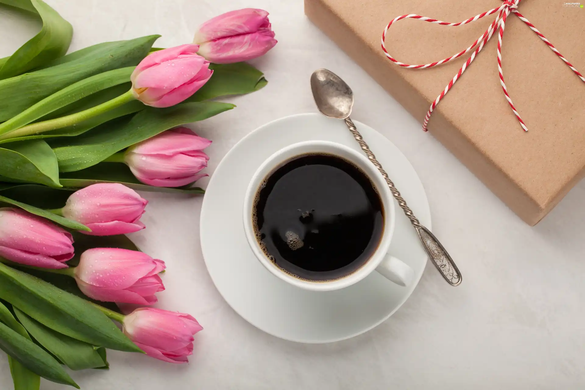 coffee, Tulips, Present, Pink