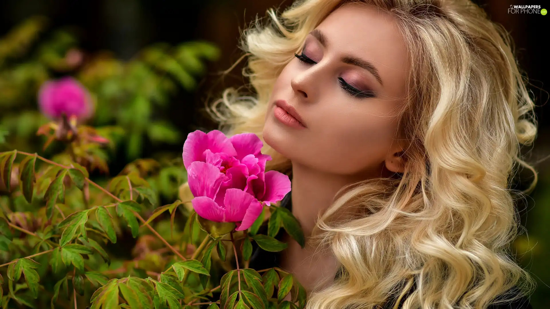 Women, Pink, Colourfull Flowers, Blonde