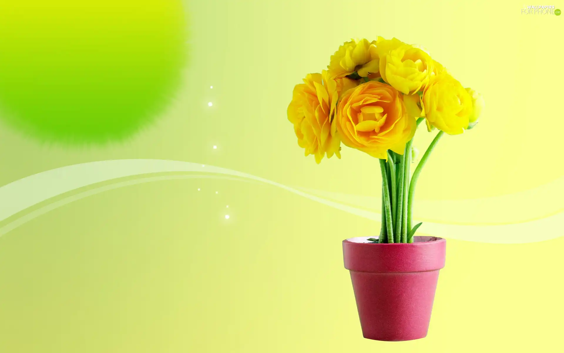 pot, Yellow, Flowers