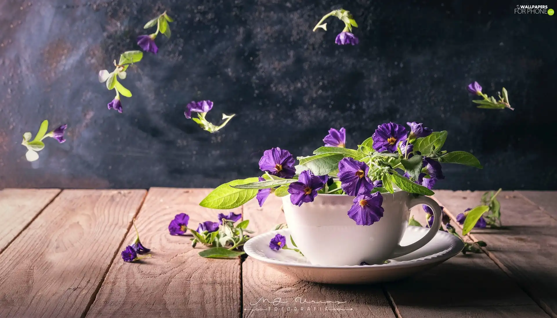 cup, Flowers, boarding, purple
