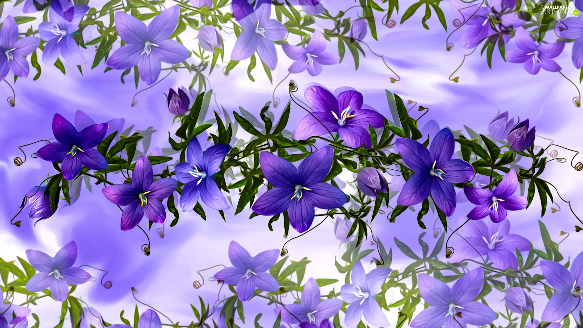 Flowers, twig, graphics, purple