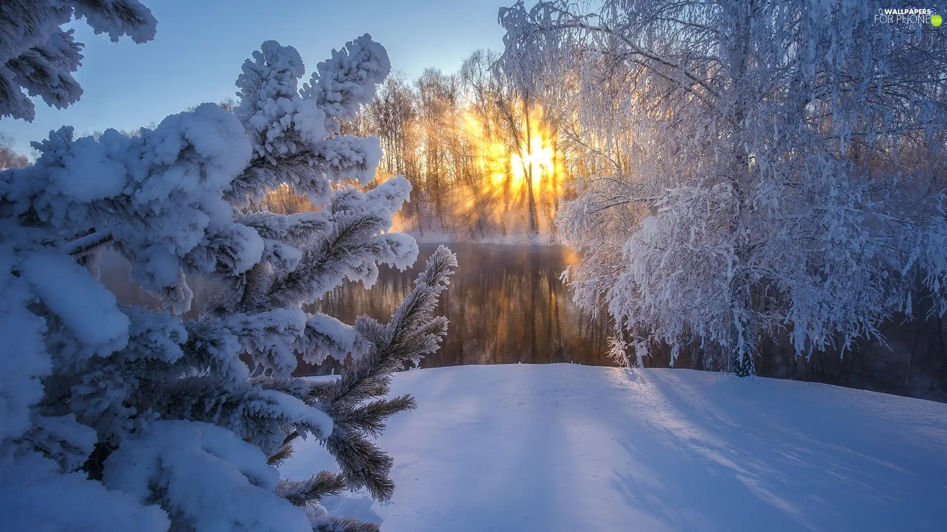 River, snow, trees, rays of the Sun, winter, Snowy, viewes
