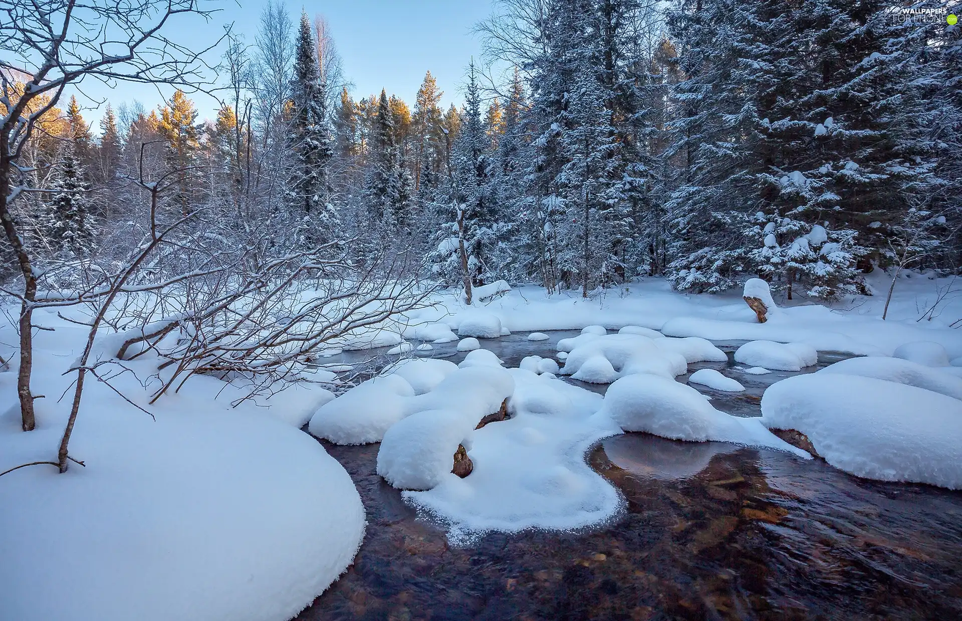 forest, winter, viewes, River, trees, snowy