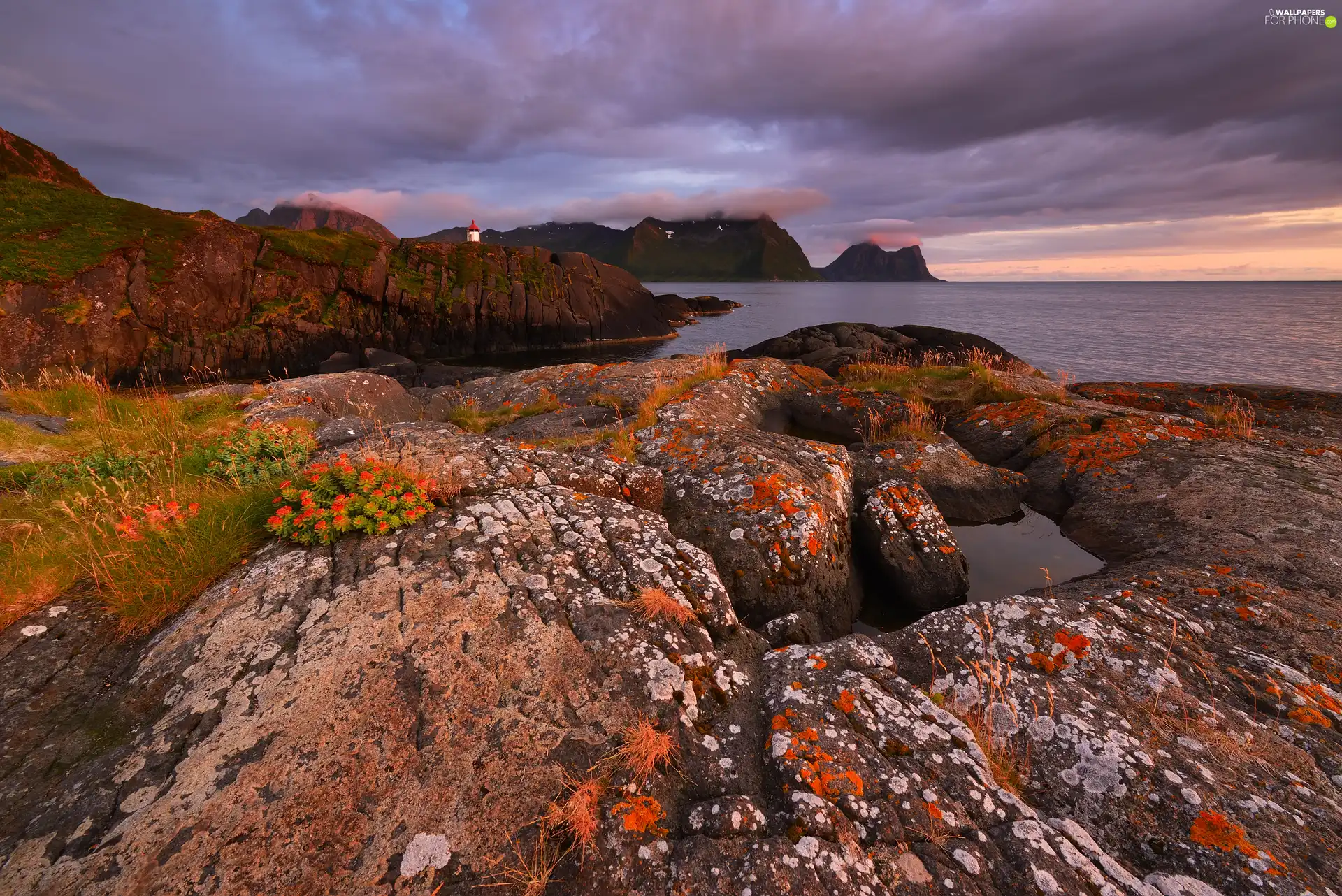 rocks, VEGETATION, Senja Island, North Sea, autumn, Lighthouse, Norway