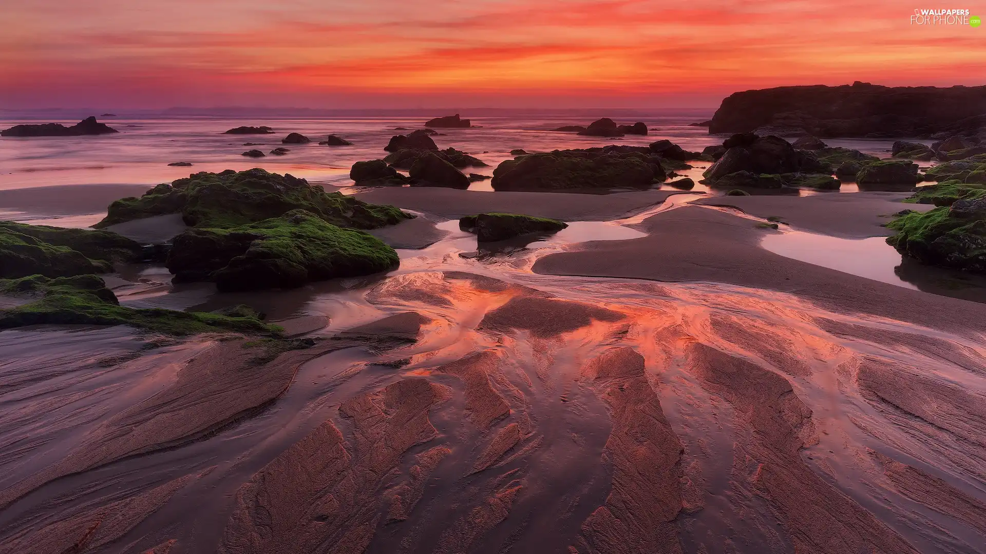 Coast, Portugal, mossy, rocks, Great Sunsets, sea