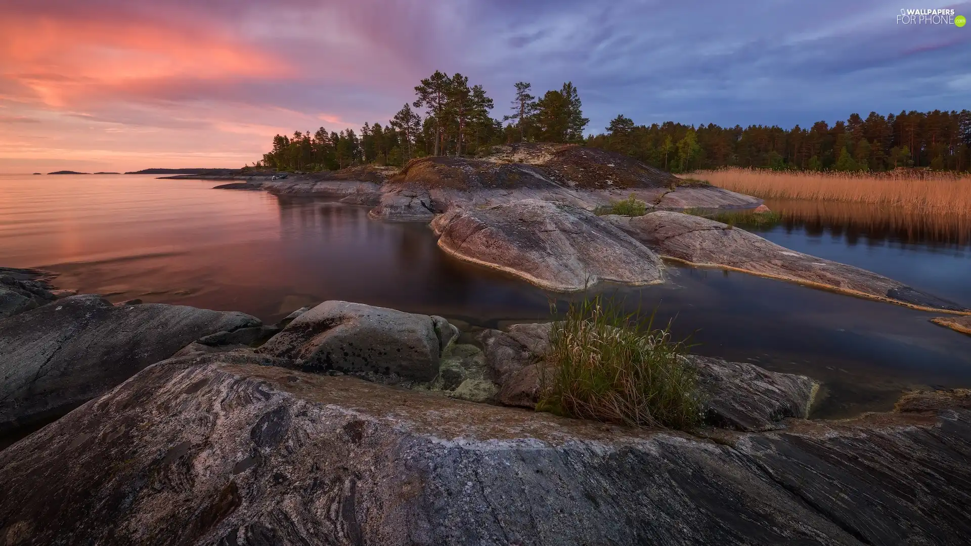rocks, Karelia, viewes, Lake Ladoga, Russia, trees, Great Sunsets