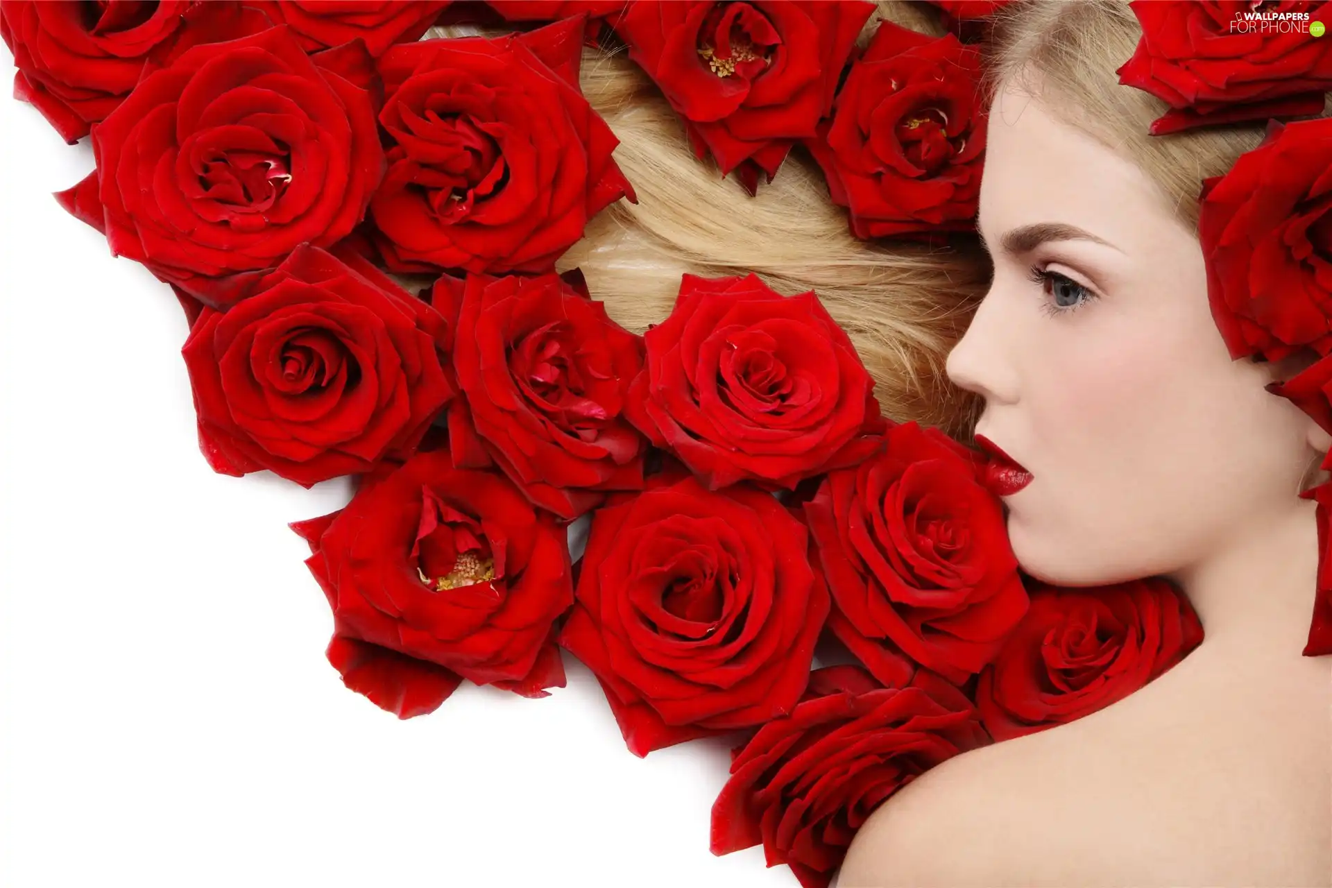 roses, Mena Suvari, make-up, Red, Women