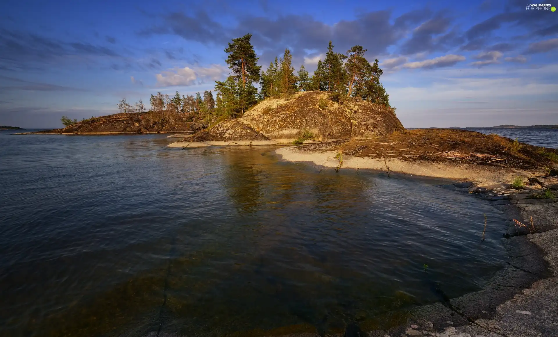 trees, Islet, Karelia, rocks, Lake Ladoga, viewes, Russia