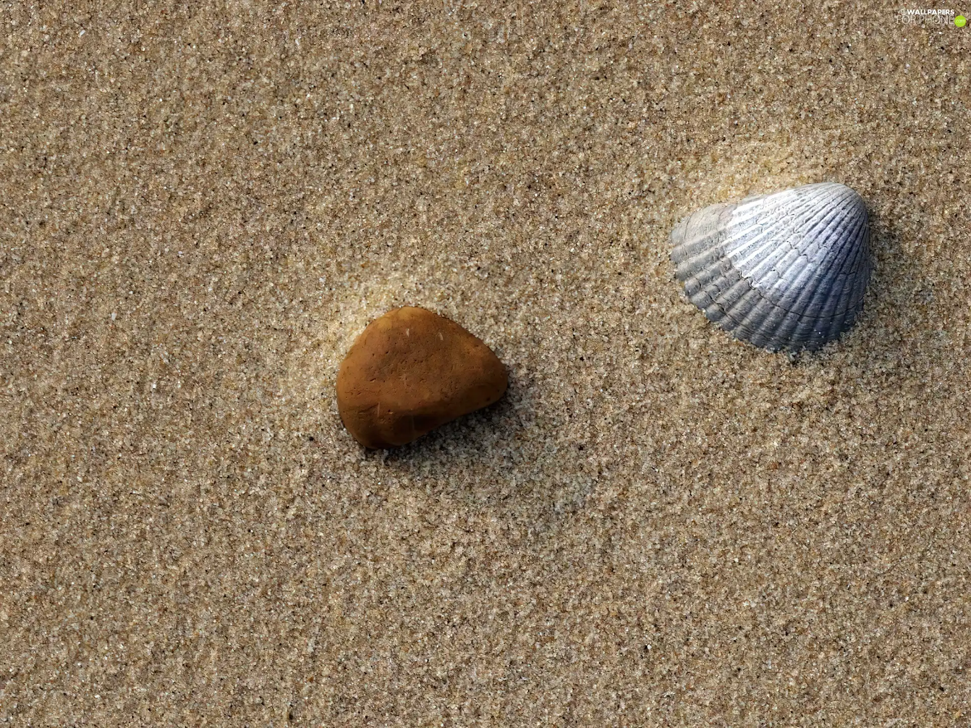 Sand, shell, Stone