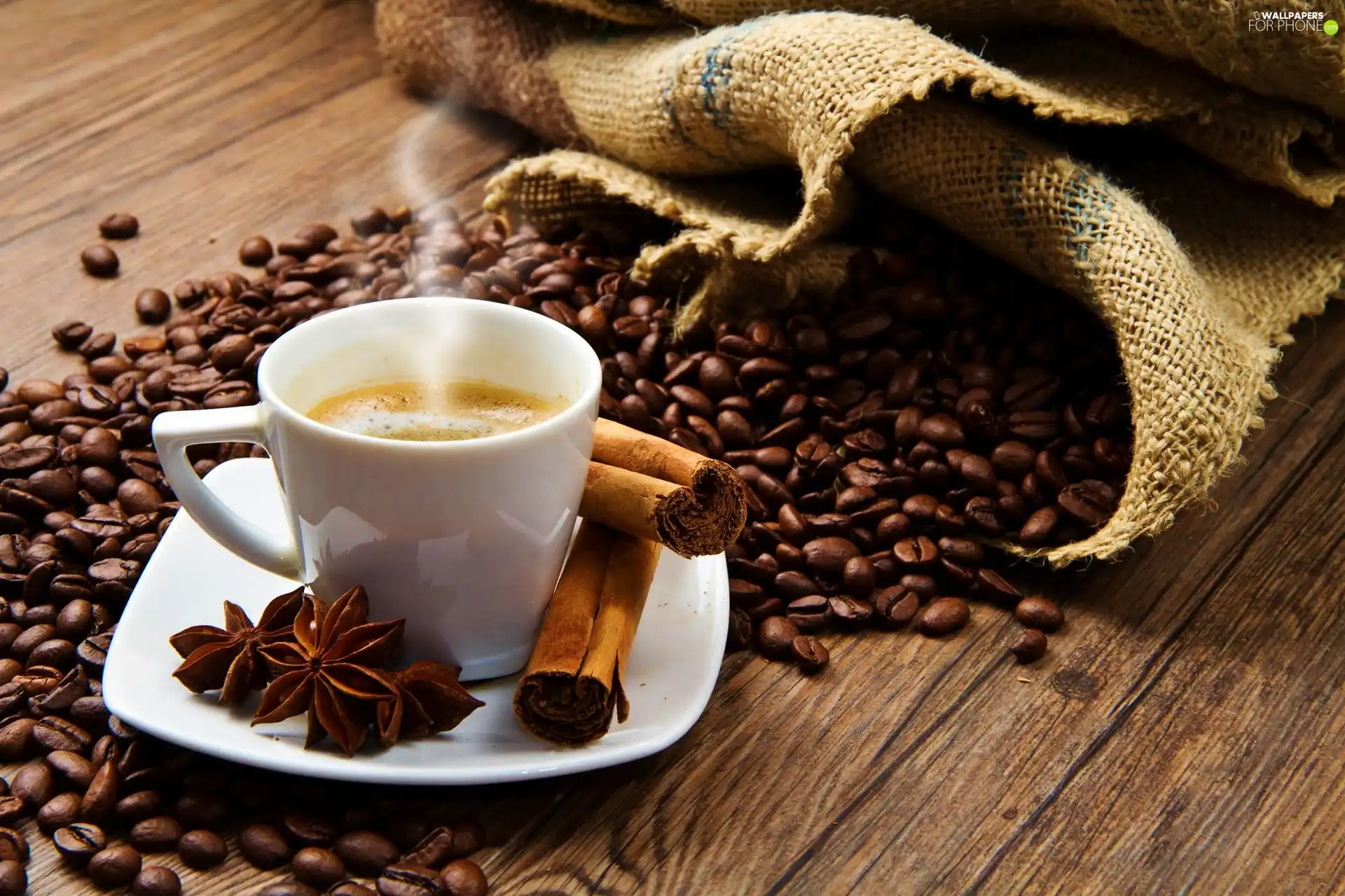 seed, cup, coffee