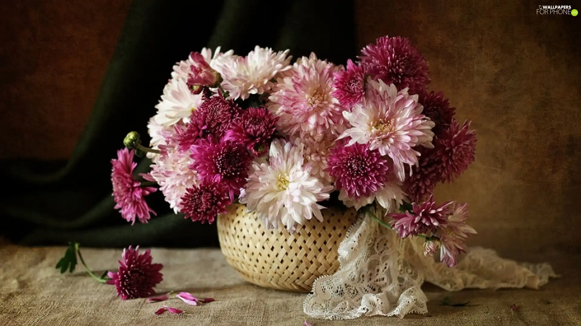 basket, chrysanthemums, shawl, bouquet