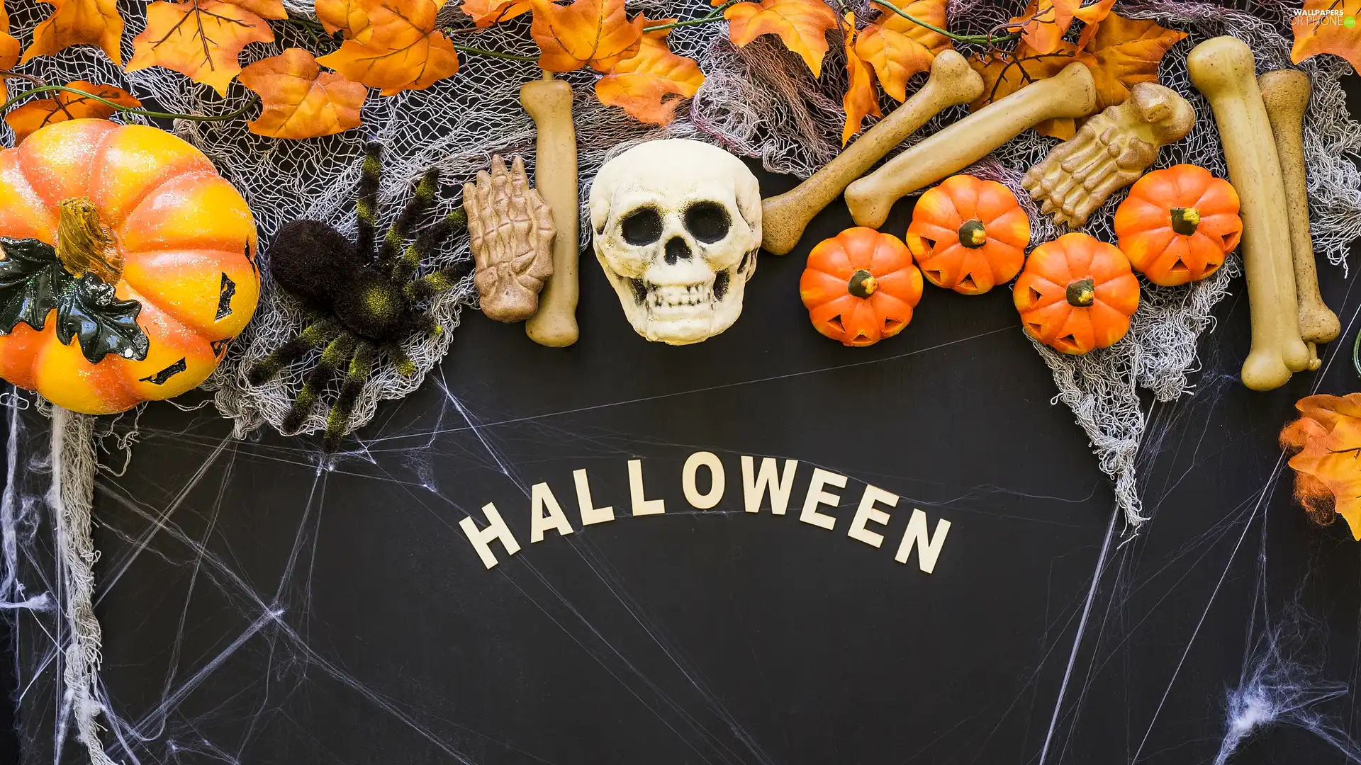 Web, bones, text, skull, pumpkin, Spider, halloween