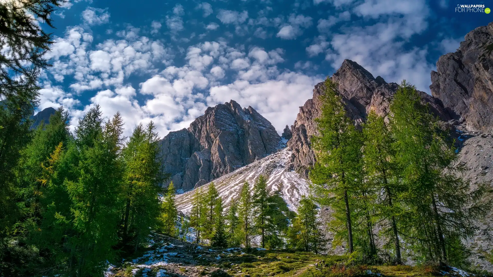 trees, Alps, Tirol, Sky, Mountains, viewes, Austria