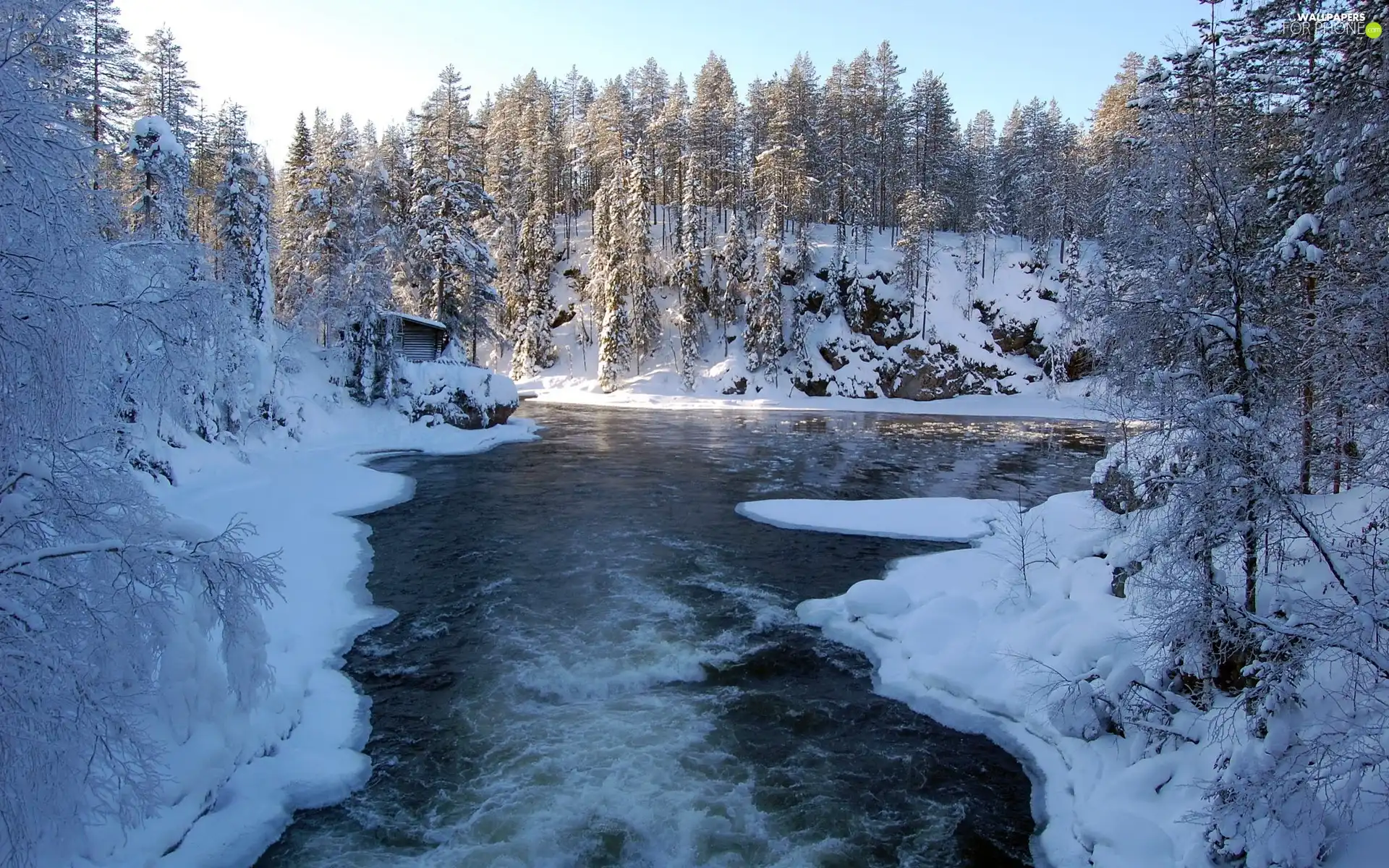 River, viewes, snow, trees