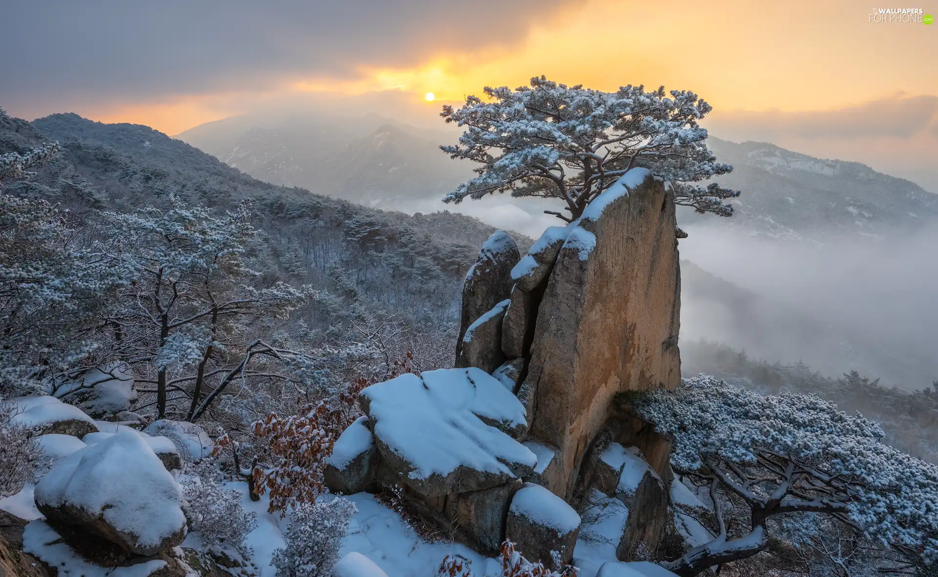 snow, winter, Mountains, trees, Fog, clouds, rocks, Great Sunsets, Stones
