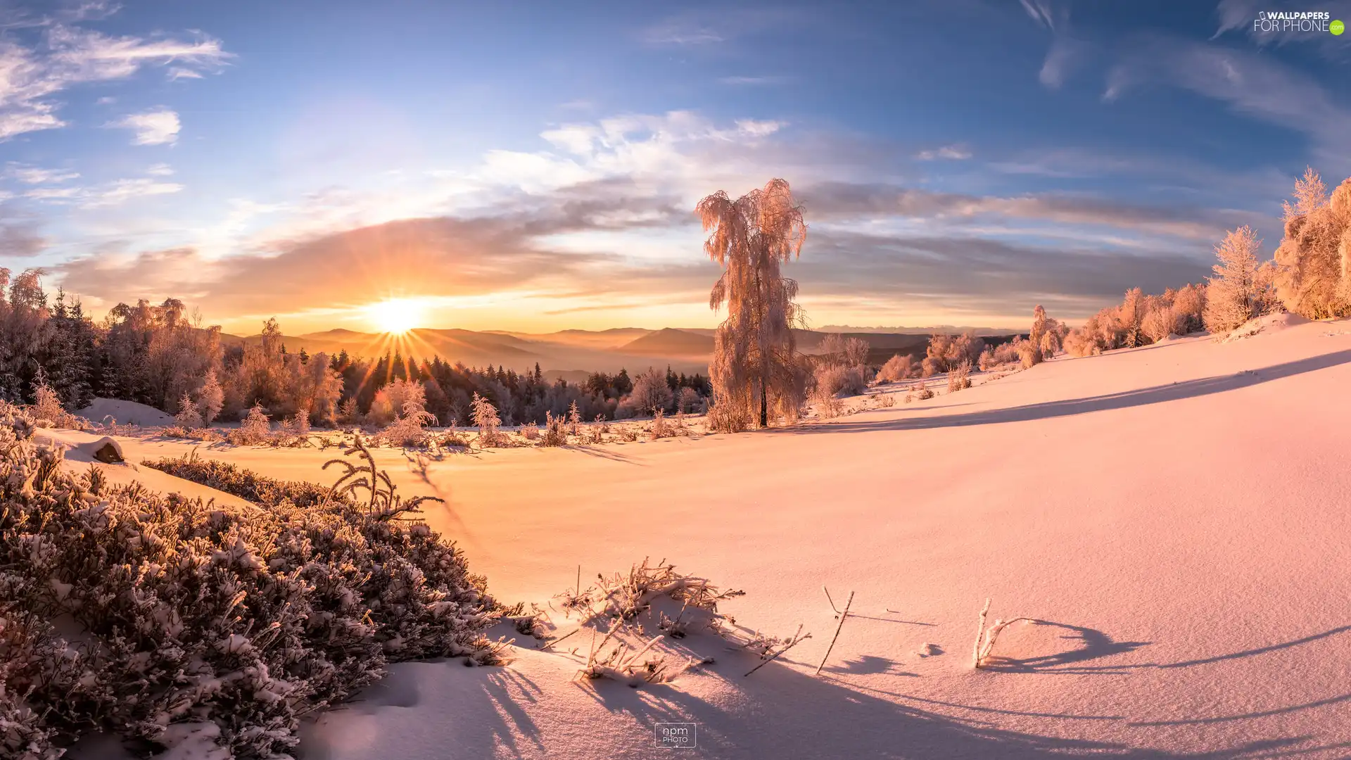 Beskydy, Sunrise, viewes, winter, trees, Mountains, Poland, snow