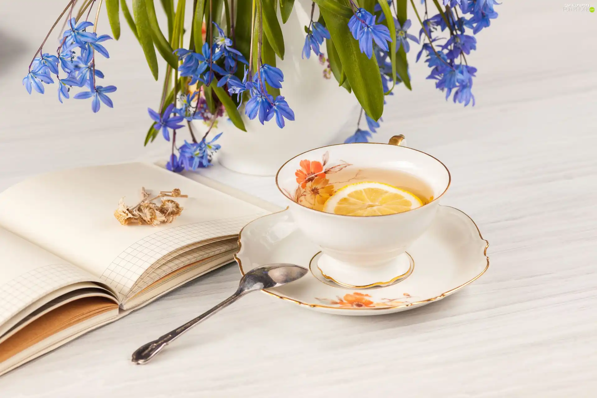 squill, tea, background, teaspoon, White, Blue, Flowers, note-book