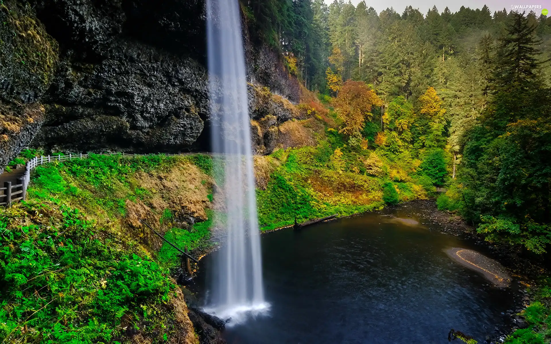 VEGETATION, forest, viewes, State of Oregon, rocks, Waterfall South Falls, trees, The United States, Silver Falls State Park, lake