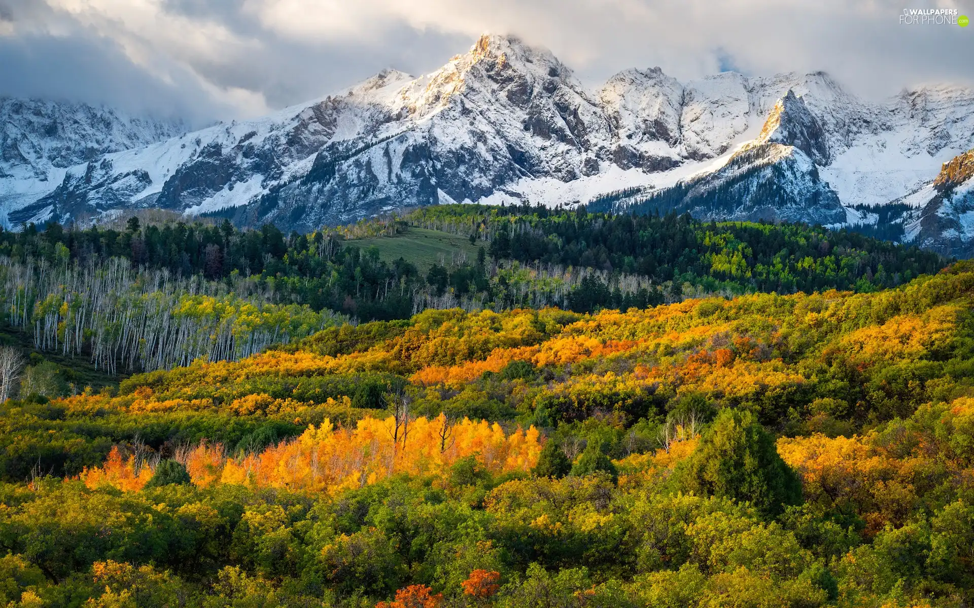 autumn, woods, Colorado, rocky mountains, The United States