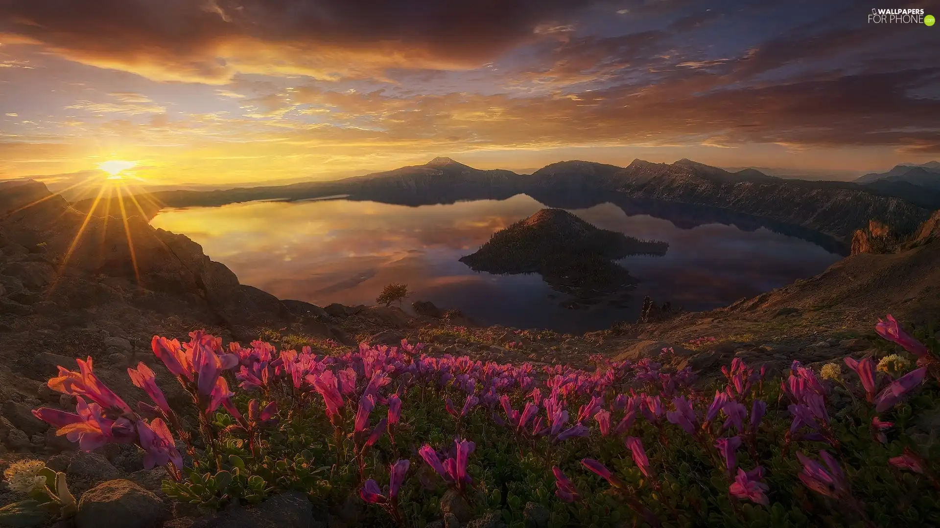 State of Oregon, The United States, Island of Wizard, Crater Lake, rays of the Sun, Flowers, Mountains, Great Sunsets, Crater Lake National Park