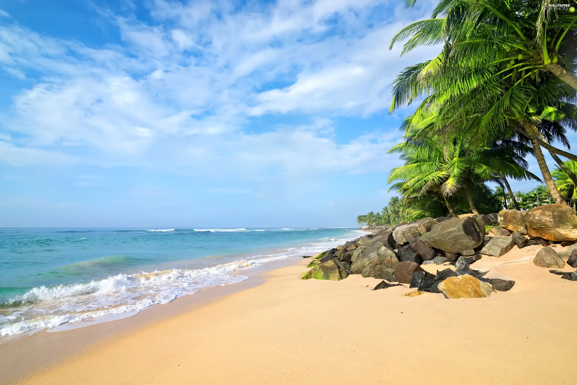 Stones, Palms, sea, Beaches, Sri Lanka