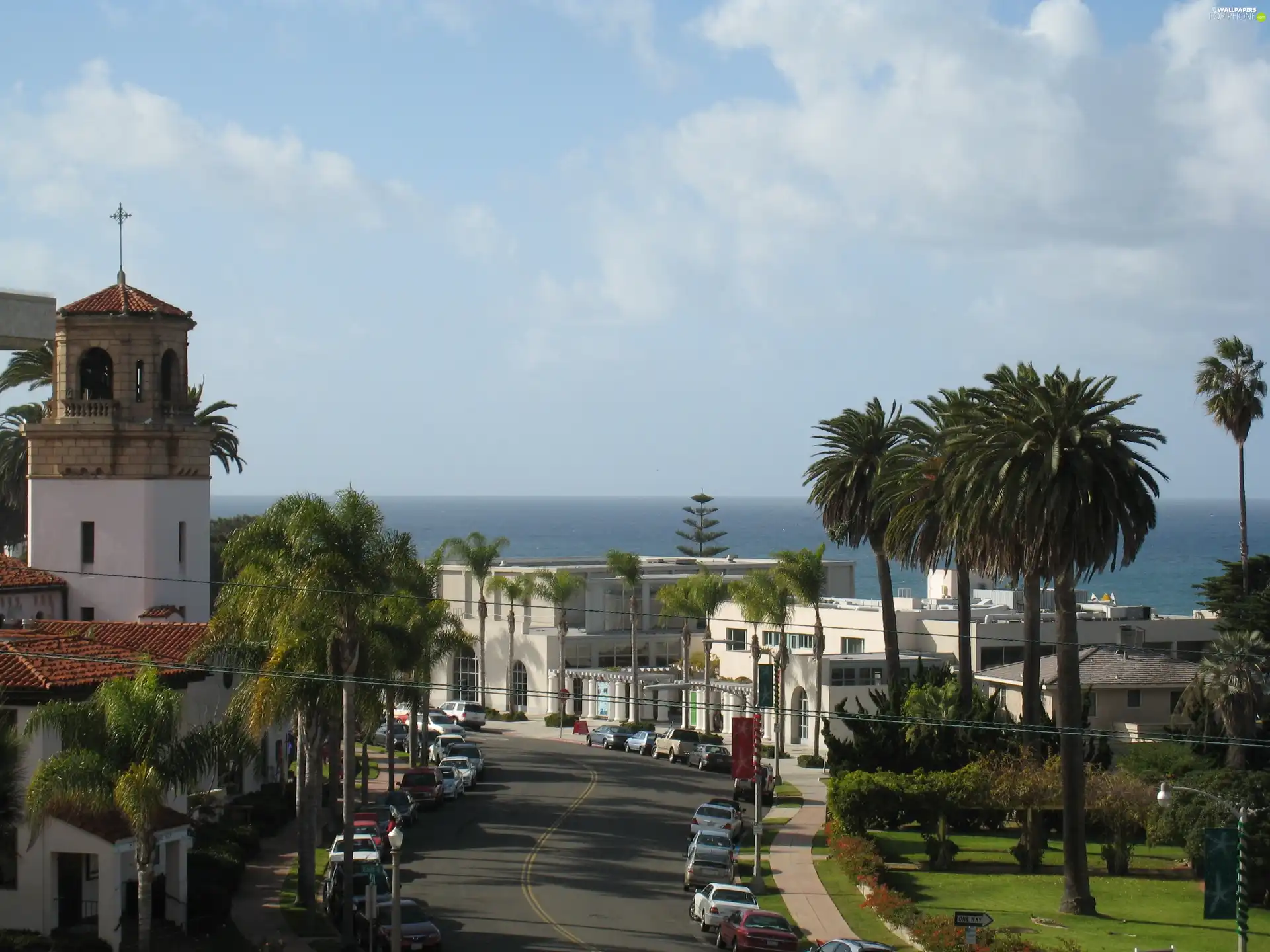 Palms, buildings, San Diego, Street, La Jolla