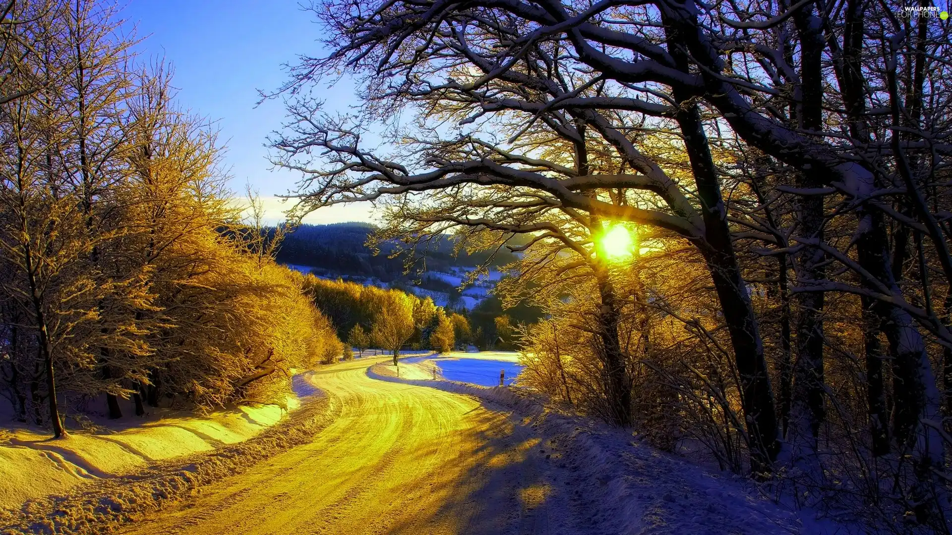 sun, snow, trees, viewes, Way