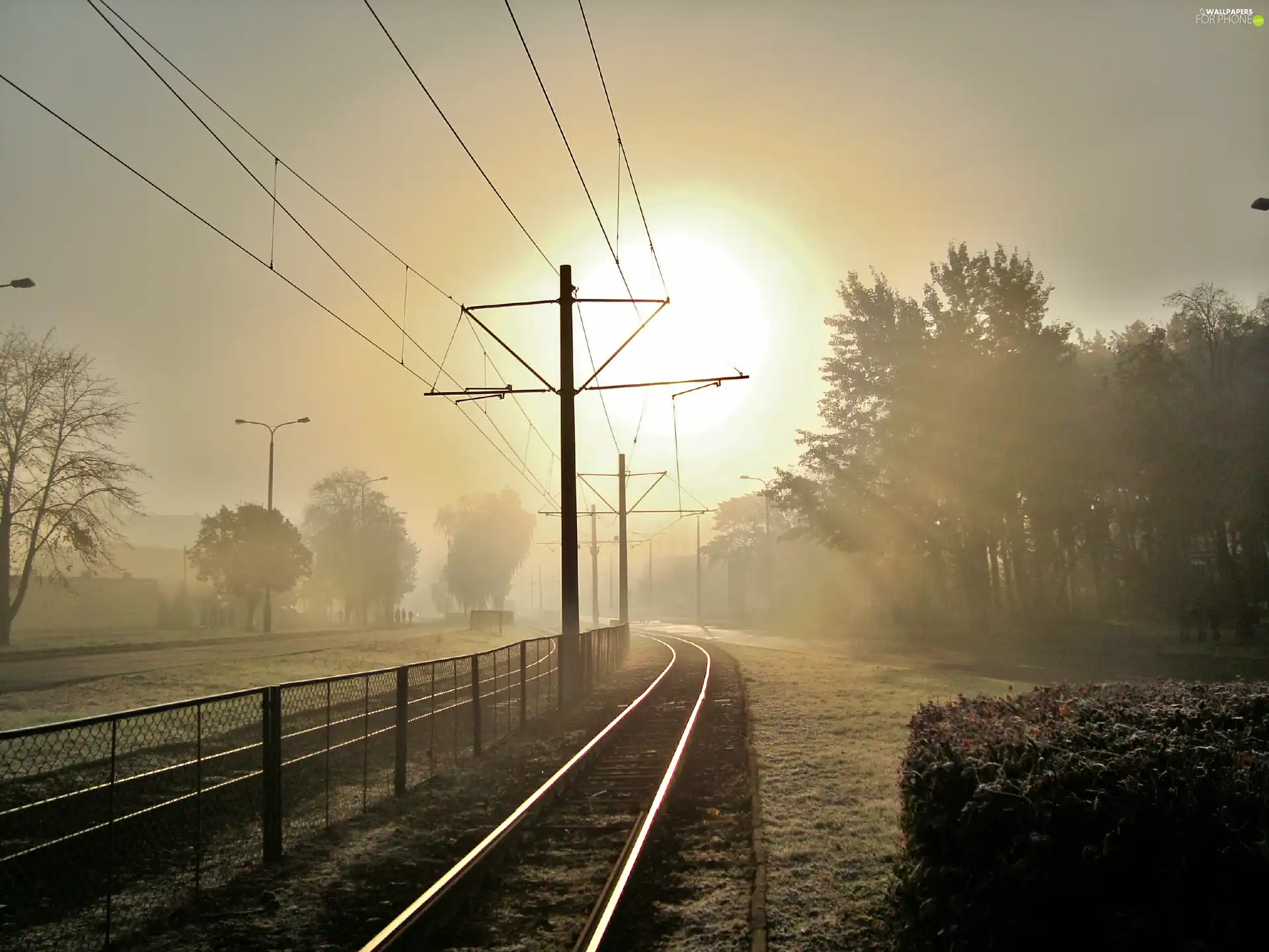 track-way, rays, sunny, Fog