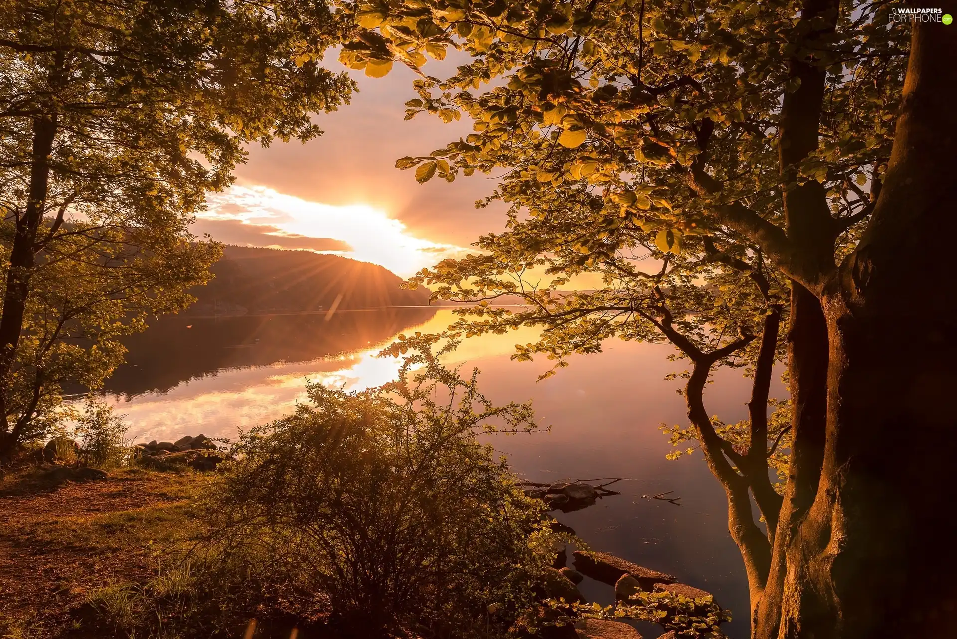 lake, Sunrise, trees, viewes, autumn