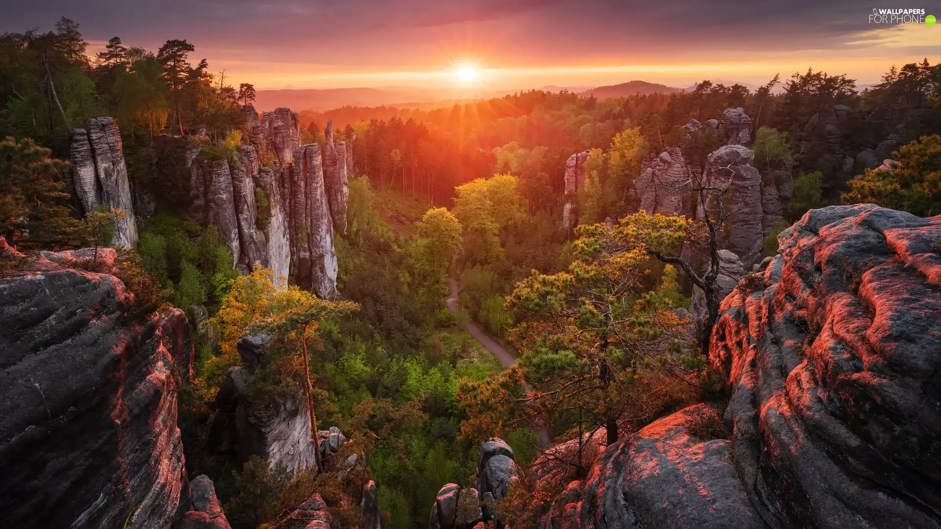 viewes, Mountains, Great Sunsets, trees, rocks