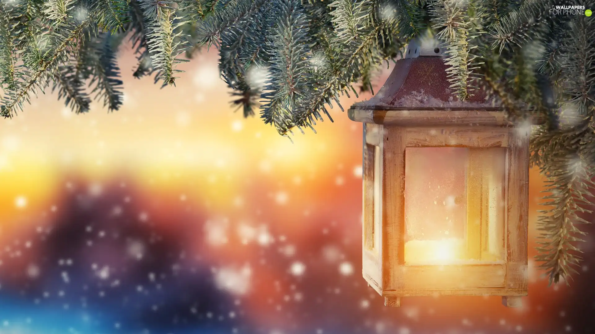 Swierk, snow flakes, lantern, Twigs, decoration