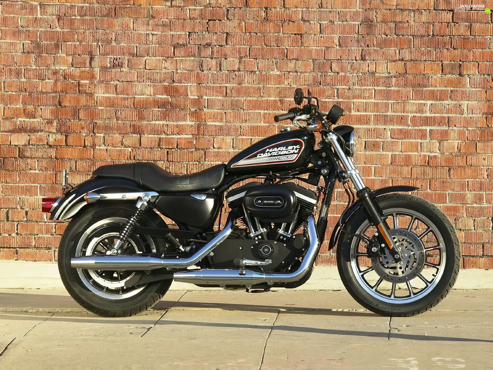 fuels, Harley Davidson Sportster XL883, tank