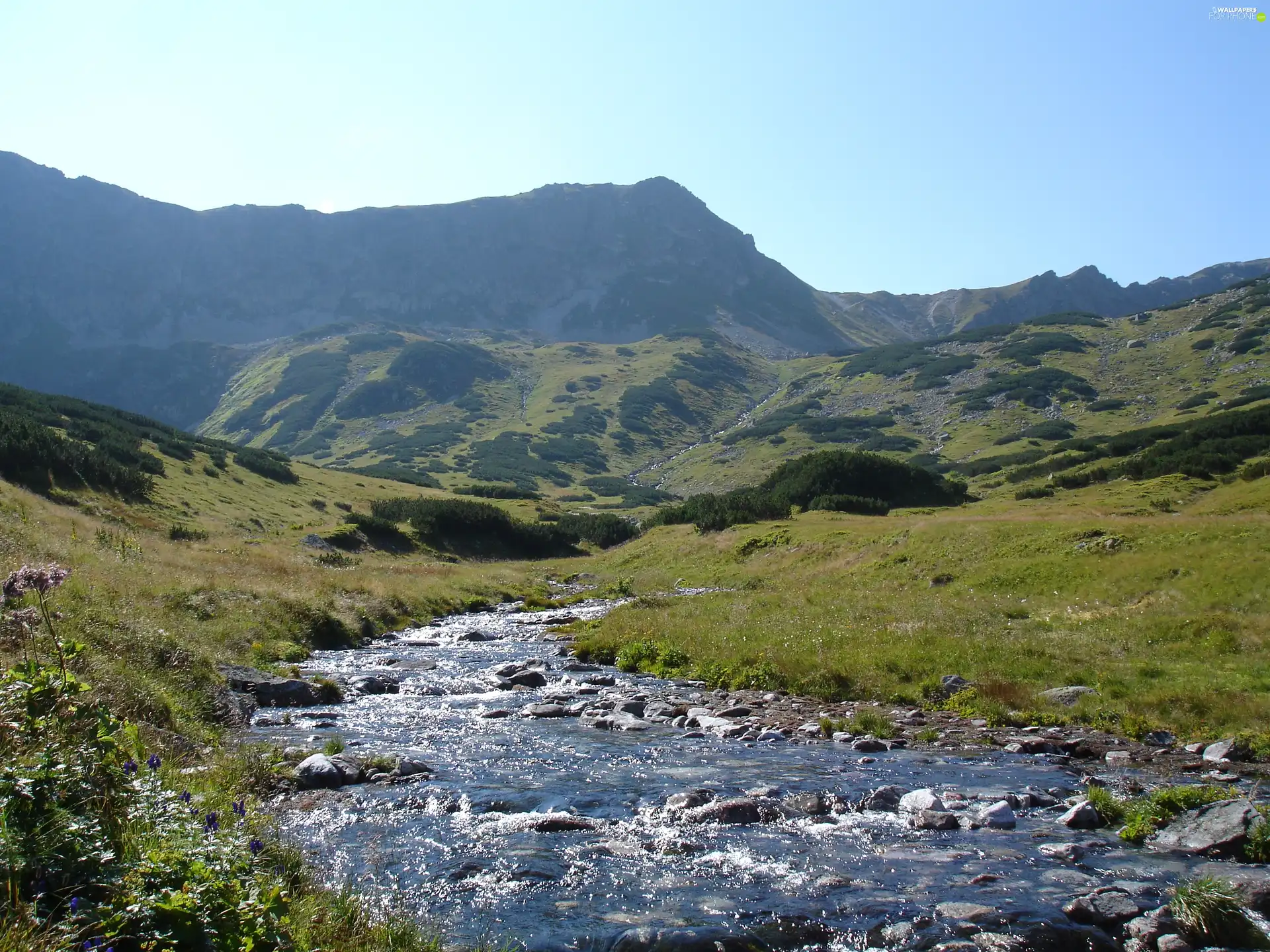 Tatras, View, an