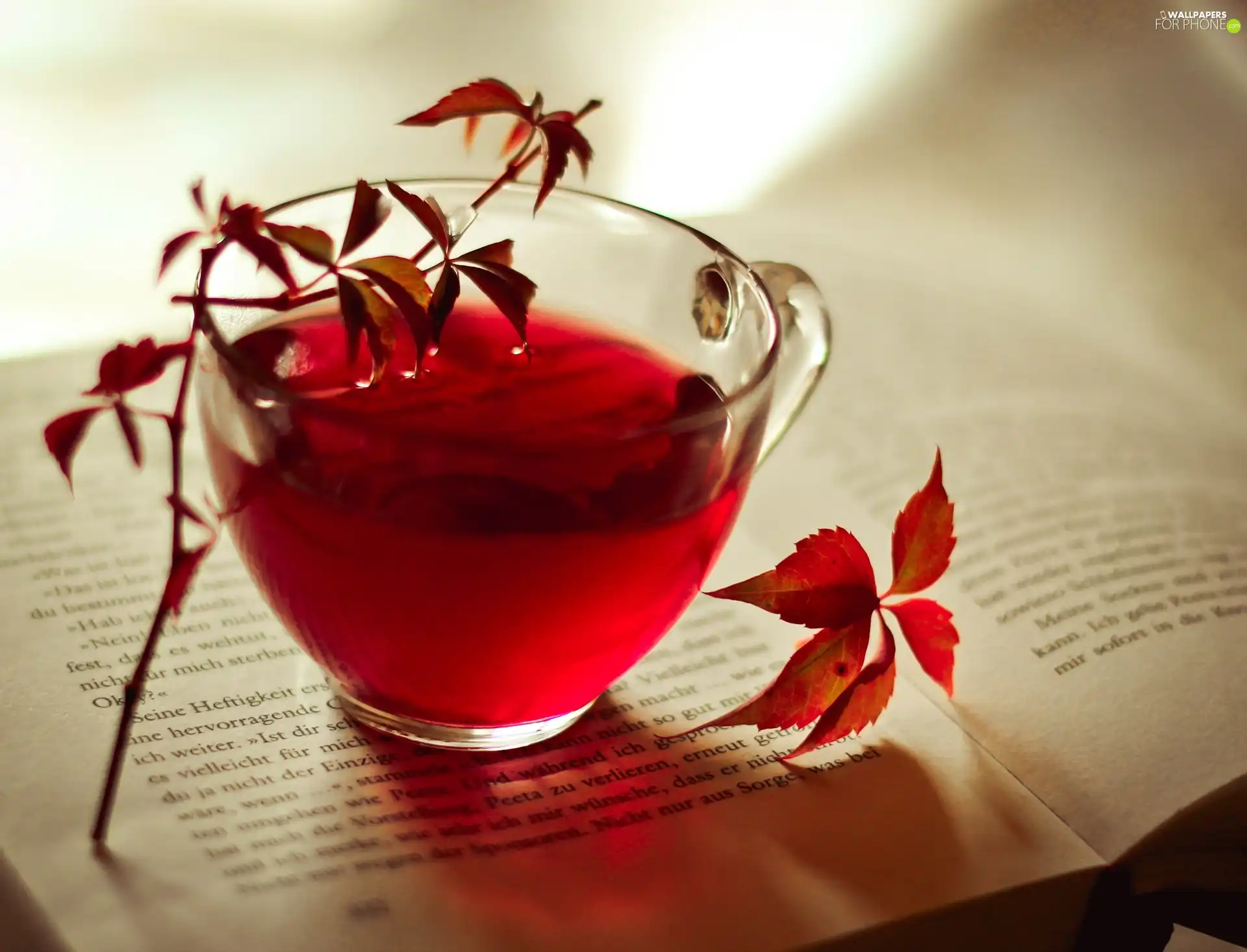 Book, red hot, tea