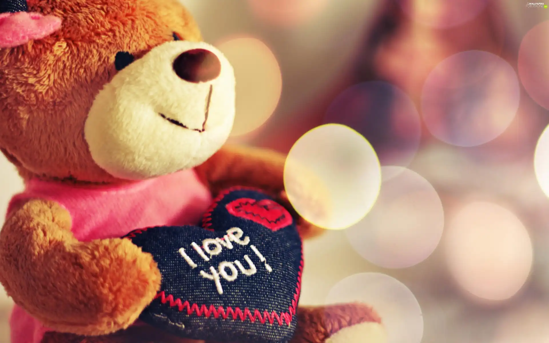 teddy bear, Valentine