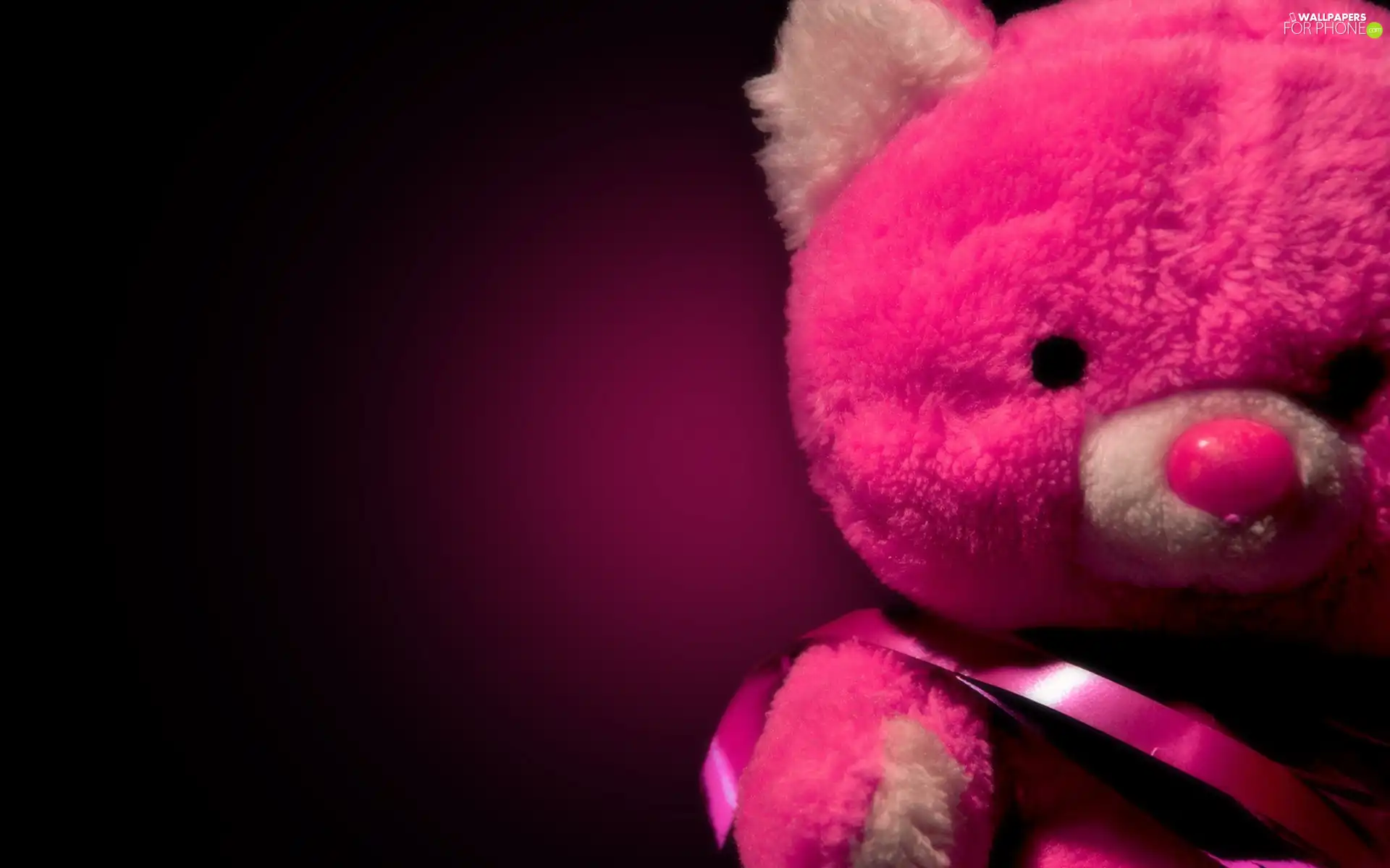 teddybear, Pink, Plush
