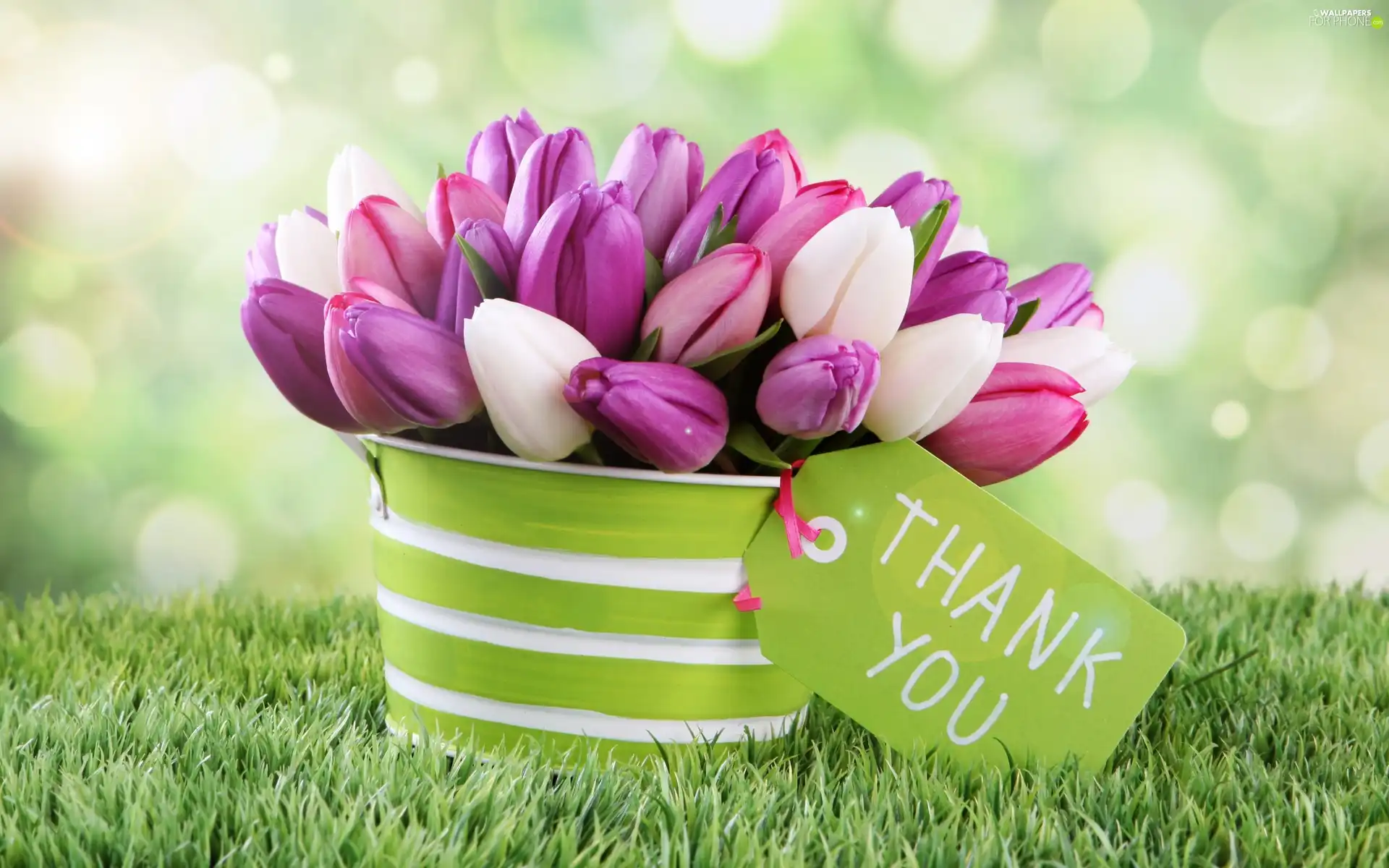 thanks, bouquet, Tulips