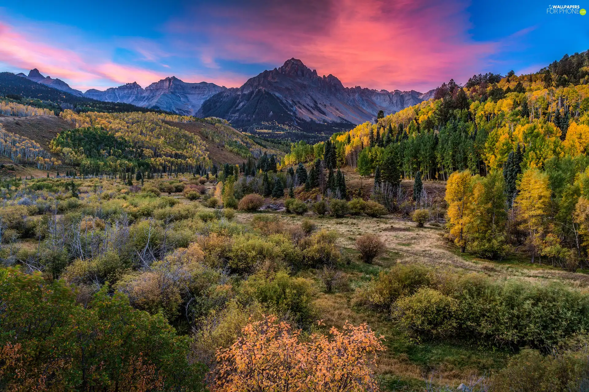 San Juan Mountains, Colorado, VEGETATION, San Juan County, The United States, forest, Great Sunsets