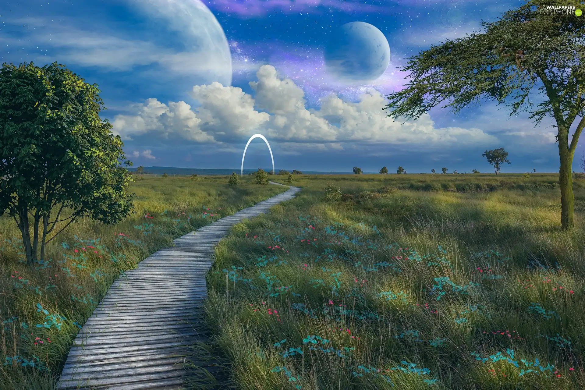 viewes, Meadow, clouds, trees, photomontage, Platform, Planets