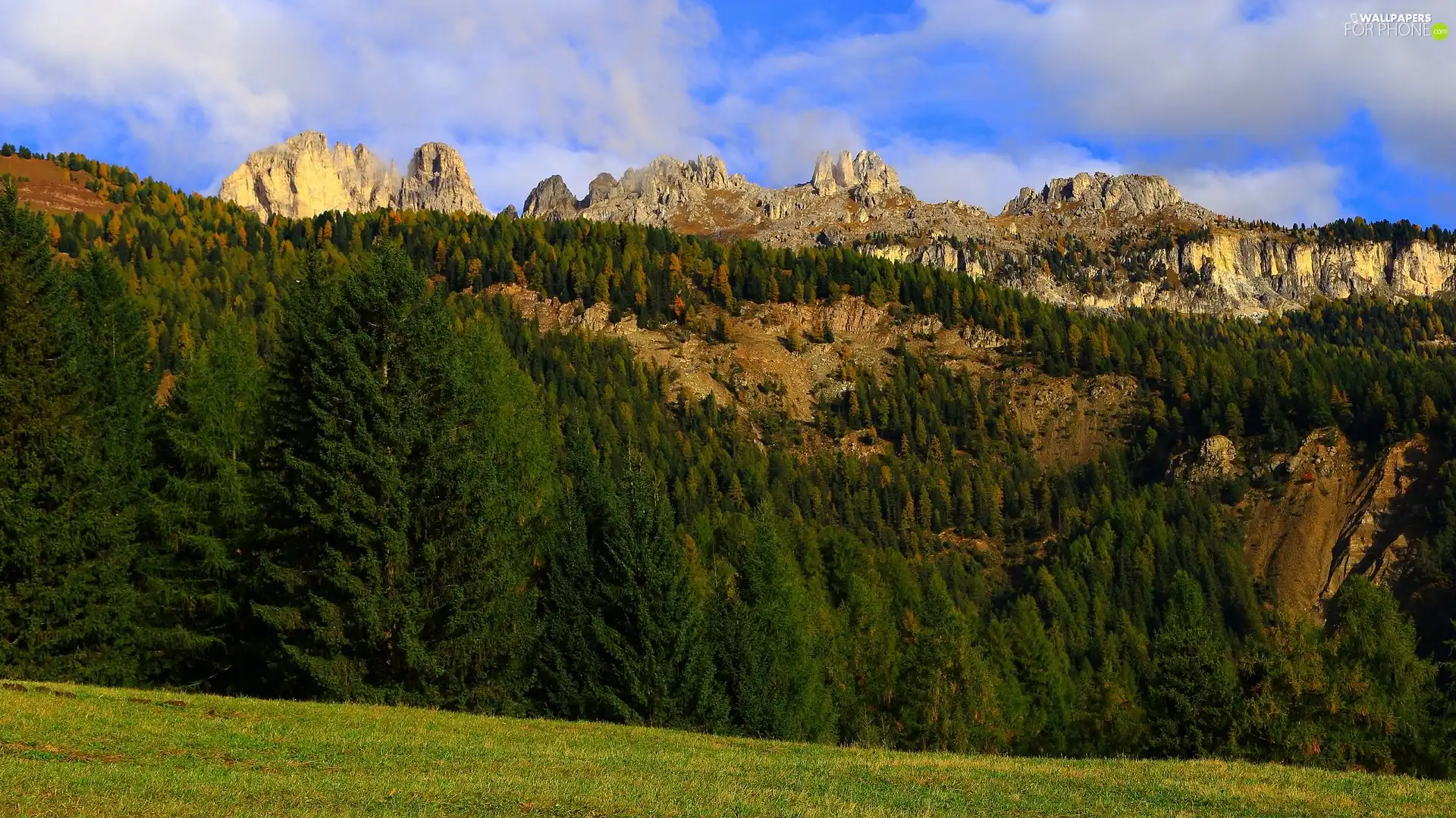 viewes, rocks, Green, trees, Mountains, Spruces, forest