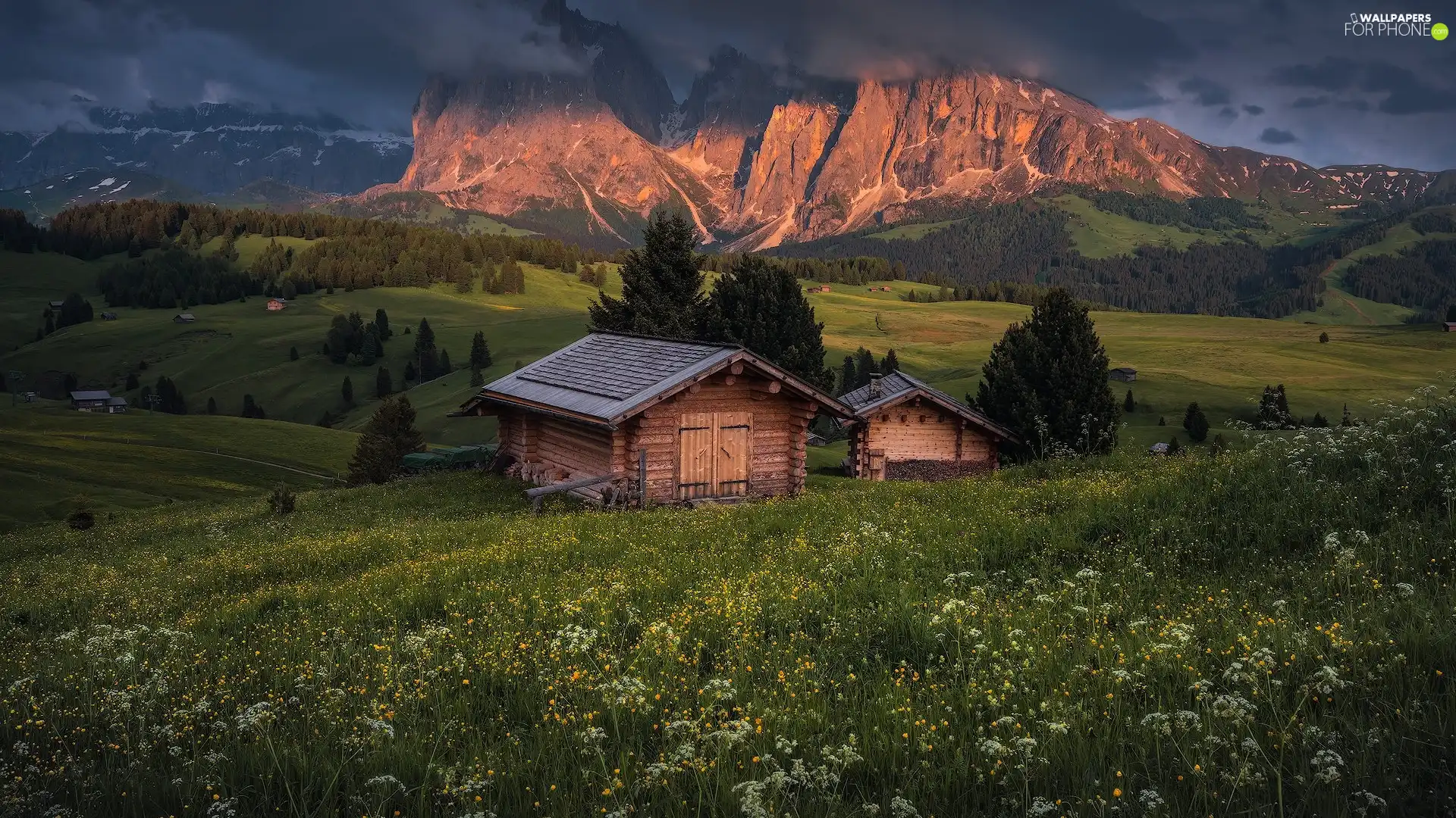 clouds, Sassolungo Mountains, Val Gardena Valley, Houses, trees, Dolomites, Seiser Alm Meadow, Italy, wood, viewes